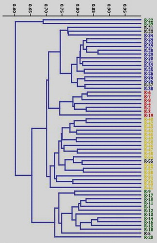 Figure 2. Jaccard’s similarity index based dendrogram generated using SRAP assay depicting the relationships among the 58 Coffea canephora germplasm accessions