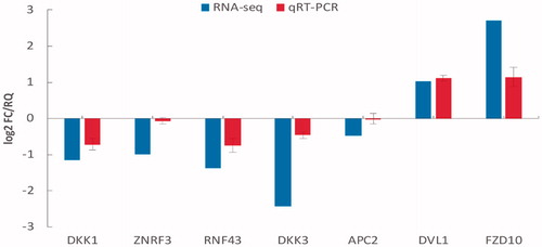 Figure 3. Transcriptome sequencing (RNA-Seq) data and quantitative reverse transcription-PCR (qRT-PCR) validation of selected differentially expressed genes (DEGs). The expression levels of the seven Wnt signalling pathway genes demonstrating two upregulated DEGs (FZD10 and DVL1) and five downregulated DEGs (DKK1, DKK3, ZNRF3, RNF43 and APC2). The signal intensity of each transcript was normalized to GAPDH. The x-axis shows the selected DEGs and the y-axis shows the normalized expression levels of the corresponding DEGs. Log2FC/RQ is the logarithm of the fold change or relative quantity to base 2. Error bars represent the standard deviation (STDEV) of the qRT-PCR analysis (n = 3).