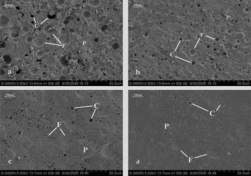 FIGURE 1 Scanning electron microscope (SEM) images of the imitation cheese, all magnitude at 1000x. The imitation cheeses manufactured using RVA at a stirring speed of 200 (a), 300 (b), and 450 rpm (c) or Stephan cooker of 1500 rpm (d). The white letters F: fat globule; P: protein matrix; C: cavity.