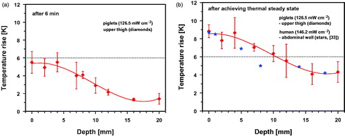 Figure 6. Temperature rise measured in vivo as a function of tissue depth in the upper thigh of piglets during wIRA exposure with an irradiance of 126.5 mW cm−2 (IR-A) after 6 min of exposure (a) and after achieving thermal steady state (b). The dotted line indicates the temperature rise TR = 6 K as required by ESHO for adequate heating [Citation1]. Data: mean values and standard deviations (diamonds). Curve fit using polynominal regression. Results are compared with published data from preliminary in vivo-measurements in human abdominal wall exposed to 146.2 mW cm−2 of wIRA (IR-A) during thermal steady state (stars, [Citation33]) (b).