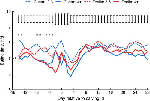 Figure 1. The effect of feeding zeolite precalving and parity on daily eating time during the transition period. Daily eating times (h/d) of the four treatment x parity groups (Control 2-3; Control 4+; Zeolite 2-3; Zeolite 4+) across −14 to 28 d relative to the day of calving (d 0) are presented. Days −21 to −15 precalving are not presented in the figure due to low cow numbers (≤ 10 per group) at these time points. The average pretreatment daily eating time for all cows (filled circle at d −15) was measured during the 2 d before treatment start (overall mean ± SD: −21.4 ± 4.6 d relative to calving). Error bars represent 1 × mean standard error of the difference. The overall treatment × parity × day interaction was significant during the PRE period (d −21 to −3; P = 0.01), and days when there was a treatment × parity interaction are represented by * (P < 0.05) and + (P < 0.15).