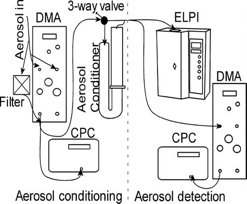 FIG. 2 Measurement system setup, divided into aerosol conditioning and detection sections. The filter beside the DMA provides additional air to the measurement section instruments. Additionally, the sheath air for the DMA is filtered sample gas to maintain the vapor pressures and avoiding possible evaporation in the sample lines.