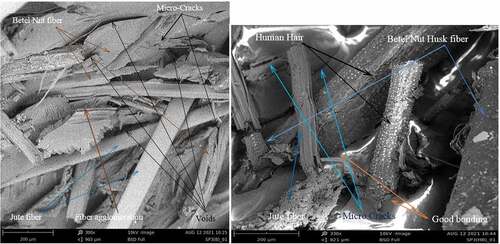 Figure 10. SEM Image of natural fiber reinforced polyester composites: (a) Jute and BNH (300× magnification) and (b) human hair, jute and BNH (330× magnification).