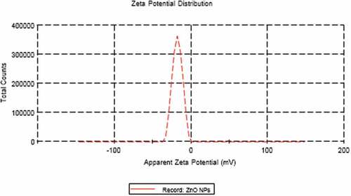 Figure 3. Zeta potential of ZnO NPs.