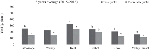 Figure 3. Wintering Index for the strawberry cultivars evaluated during the year 2017 and 2018. Vertical bars ±SE (n = 4). Wintering index was calculated from the data as: (n1/n 1.00) + (n2/n 0.67) + (n3/n 0.33) + (n4/n 0.00); where n1, number of uninjured plants; n2, number of slightly injured plants; n3, number of severely injured plants; n4, number of dead plants; and n, total number of plants.