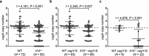 Figure 3. Changes of cagA copy number in WT and Il10−/− mice-derivedH. pylori colonies according to cagY recombination status. cagA copy number was measured in colonies isolated from WT and Il10−/− mice 4 weeks PI. Colonies were further classified according to cagY recombination status. cagA copy number of each colony was described in a scatterplot. (a) All colonies, (b) cagY-S colonies, and (c) cagY-D colonies. Each circle indicates an individual colony. A dashed horizontal line on the plot background indicates mean cagA copy number of input population (2.93). Three lines in the scatterplot indicate mean ± standard deviations.