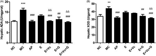 Figure 6. Effect of EGCG combined with Vc and glycerol on the activities of hepatic ADA (A) and XOD (B) in the hyperuricemic mice. Values are means ± SE (n = 6). **p < 0.01, ***p < 0.001 when compared with the NC group; ##p < 0.01, ###p < 0.001 when compared with the MC group. ΔΔp < 0.01 when compared with the E group.