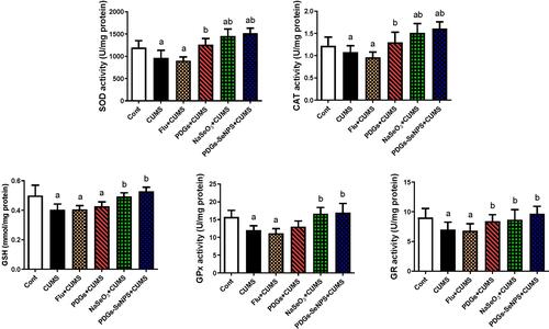 Figure 4 Protective impacts of prodigiosin (PDGs), sodium selenite (Na2SeO3), and prodigiosin-loaded selenium nanoparticles (PDGs-SeNPS) administered orally to CUMS-exposed rats on hippocampal antioxidant enzyme activities. Data were analyzed using one-way ANOVA, followed by Duncan’s post hoc test (p< 0.05), and are expressed as the mean ± SD (n=10 rats/group). aSignificant difference relative to the control group (Non-stressed). bSignificant difference relative to the CUMS group (depression model).
