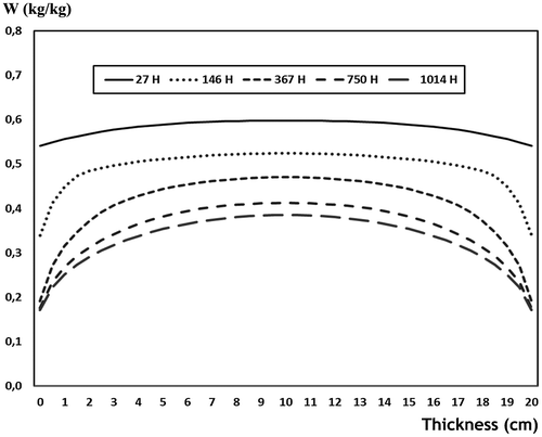 Figure 9. Autoclaved cellular concrete (ACC) water content drying simulation hydric profiles with Dw/10.