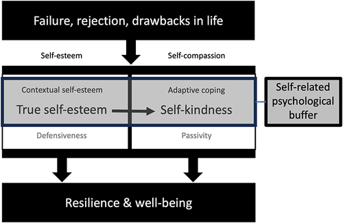 Figure 4 Model depicting the presumed role of self-esteem and self-compassion in resilience and well-being.