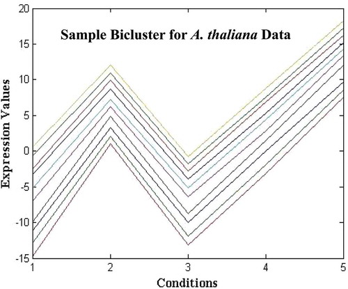FIGURE 13 Plot of sample biclusters of size 10 × 5 for Arabidopsis thaliana expression data.
