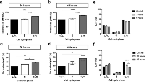 Figure 5. Uptake of prostate cell-derived EVs in the different stages of the cell cycle. PC-3 cells were incubated with SP-DiOC18-labelled LNCaP EVs for (a) 24 h or (b) 48 h, and SP-DiOC18-labelled PC-3 EVs for (c) 24 h or (d) 48 h. After fixation, the cells were stained with propidium iodide, and the SP-DiOC18 fluorescence of cells was analysed by flow cytometry. The geometric mean fluorescence intensity (gMFI) of cells in each cell cycle phase was normalised by the fluorescence of cells in the G0/G1 phase. Bars represent mean ± SEM, n = 6 per time point. *p < 0.05, **p < 0.01, ***p < 0.001, ****p < 0.0001, one-way ANOVA with Tukey’s multiple comparisons test. Comparison of the percentage of cells incubated with and without  (control) added EVs at the different phases of cell cycle at (e) 3 and 6 h, (f) 24 and 48 h. Error bars represent mean ± SEM of six independent experiments. *p < 0.05, ***p < 0.001, two-way ANOVA with Tukey’s multiple comparisons test.