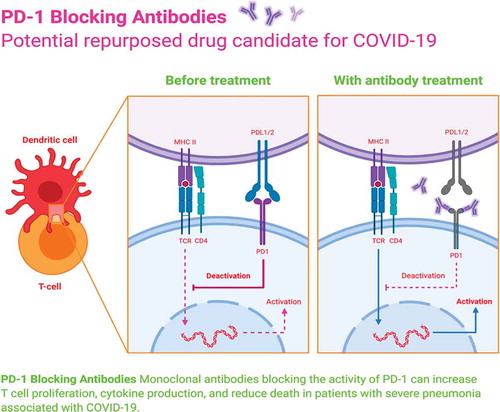 Figure 7. Potential repurposed monoclonal antibodies for the treatment of COVID-19. The Figure was created with “BioRender.com” template and exported under the terms of premium subscription