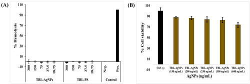 Figure 6. (A) Haemolysis assay on human pRBCs treated for 48 h at 37 °C with progressive doses of TBL-AgNPs and TBL-PS was found negligible, and (B) MTT assay cell viability counts on HEK293 cell lines. The TBL-AgNPs are not significantly affecting HEK239 at dosages of 150, 200, 250, 300, and 600 ng/mL.