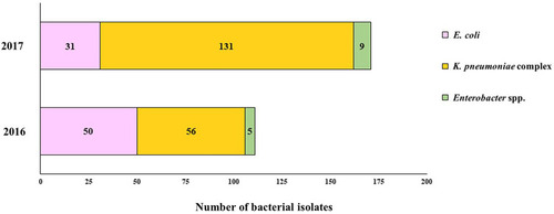 Figure 1 Number of carbapenem-resistant Enterobacterales isolates during 2016–2017.