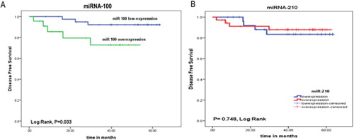 Figure 3. Association between (A) miR-100, (B) miR-210 expression and DFS rates of the ALL patients.