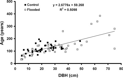 Figure 6 Age–size correlation, fitted line and r2 of core samples from both control and flooded plots in 2006.