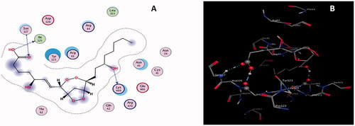 Figure 6. (A) 2 D (B) 3 D interactions of L7 with COX-2.