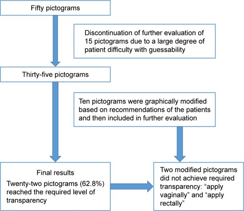 Figure 3 Flowchart of the evaluation of pictograms.