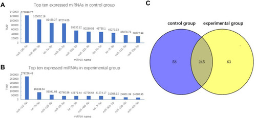 Figure 4 Small RNA-seq miRNA profiles in control and experimental groups. (A) The top 10 expressed miRNAs in the control group. (B) The top 10 expressed miRNAs in the experimental group. (C) Venn diagram showing the common and unique miRNAs identified in control and experimental groups.
