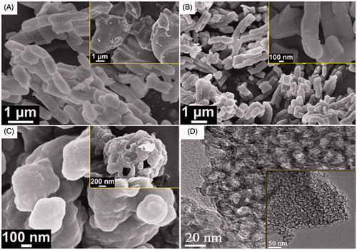 Figure 6. FESEM images of (A) As synthesized MSN samples and (B) calcined sample. (C) PMV-coated MSN (MSN-PMV-INS). TEM image of (D) as synthesized sample.
