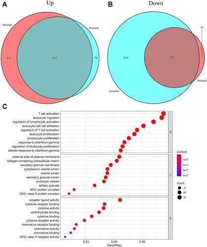 Figure 5 Differentially expressed genes analyses in TCGA dataset. (A) 887 up-regulated intersected genes and (B) 277 down-regulated intersected genes were revealed in venn plots. The gene ontology (GO) analysis of these intersected genes (C).