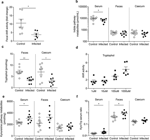 Figure 4. AhR activity and tryptophan metabolic pathways are modified in post-infectious period.