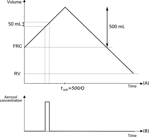 FIG. 1 Illustration of the serial bolus delivery method used in the KH experiments (Kim et al. Citation1996). At each maneuver, a TV of 500 mL is inhaled (see A); however, the aerosol is injected at prescribed points in small boluses of 50 mL (see B that is an idealized representation of the aerosol concentration at the exit of the device). The earlier the aerosol is injected during inhalation, the deeper it penetrates into the lungs. RV stands for residual volume.