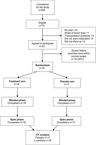 Figure 1 Patient disposition. Patients were screen for inclusion and exclusion criteria and randomized into two arms, ie, sham and L-carnitine supplementation. Patients were stratified by hemoglobin level.