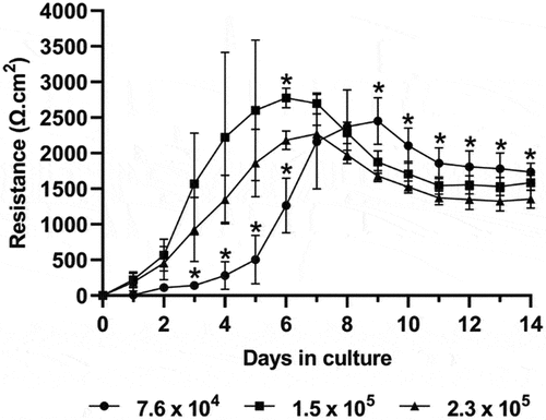 Figure 2. Influence of seeding density of colonoid-derived monolayer resistance. Cells were seeded at low, medium, and high (7.6 ×104, 1.5 × 105 and 2.3 × 105/cm2, respectively) densities and cultured in 50+/+ medium. Resistance, presented as ohms (Ω).cm2. Data are presented as the mean ± SD of data pooled from three independent experiments (n = 3). Data at the same time point were analyzed using the Kruskal-Wallis test with Tukey post-hoc test for multiple comparisons. Statistical significance is indicated as *p < 0.05.