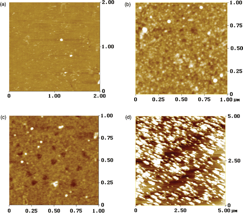 Figure 1. Atomic force microscope images of (a) the hydroxide substrate (b) MPTS-SAM (c) and oxidised MPTS-SAM, and (d) TiO2 thin films.