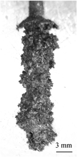 Figure 9. Picture of the deposit on the solid cathode.