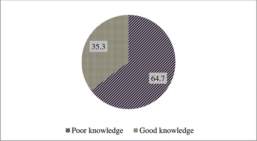 Figure 4. Participants’ knowledge of tetanus toxoid immunization among mothers in southern Ethiopia.