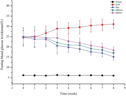 Figure 2 Fasting blood glucose levels of db/db mice from weeks 1 to 8. Fasting blood glucose levels of untreated db/db mice and db/db/mice treated with the oral administration of metformin and DHM (DHM-h, 1.0 g and 0.5 g/kg BW). DHM exhibited a time-dependent hypoglycemic effect with sustained administration. Normal: C57BL, DM: untreated metabolically abnormal obese db/db mice, Met: db/db mice treated with metformin, DHM-h, l: db/db mice treated with DHM at 1.0 g and 0.5 g/kg BW.