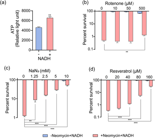 Figure 4. NADH promotes respiratory chain and ATP generation. (a) Effects of NADH on ATP content in ATCC15947. (b)–(d) the concentration effect of rotenone/NaN3/resveratrol on the bactericidal efficacy of 3 mM NADH combined with 30 μg/mL neomycin. Data are presented as mean ± SEM (n = 3 biological replicates). *p < 0.05.**p < 0.01. ***p < 0.001.