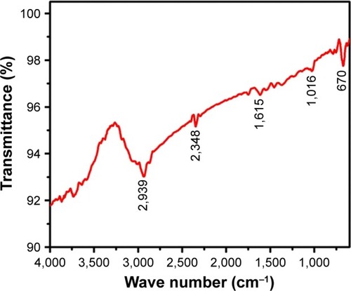 Figure 3 Fourier-transform infrared-spectroscopy analysis of silver nanoparticles synthesized from Coptis chinensis.