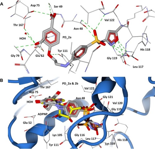 Figure 5 Docking of designed hybrid compounds at ATP binding site of P. aeruginosa GyrB. (A) Binding pose of the top scored compound PD_2a (grey stick model); (B) PD_2a and PD_2b (stick model colored by their element) superimposed with ADPNP (yellow stick model).