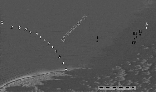 Figure 8. Bathymetry of the research area with location of all lake floor springs (I-IV) and an unidentified depression, A (lines indicate contours in metres).