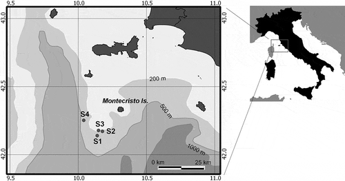 Figure 1. Sampling sites. Location of the studied shoals off the coasts of Montecristo Island (Tuscan Archipelago, Tyrrhenian Sea, Italy).