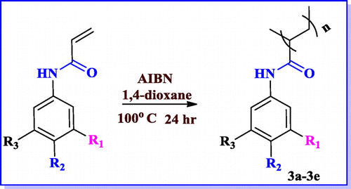 Scheme 3. Synthesis of poly (N-phenyl) acrylamide.