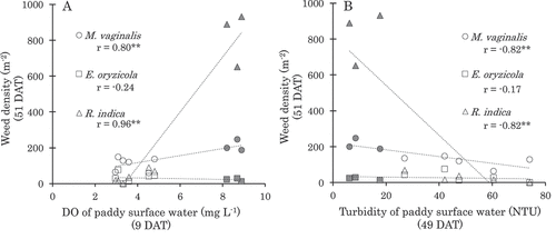 Figure 4. Relationship between dissolved oxygen concentration (DO), turbidity and weed density in experiment 3 (2009). (a): Relationship between DO and weed density. (b): Relationship between turbidity and weed density. The black, gray, and white symbols indicate the control, rice bran application (RB), and RB + mechanical weeding (RB+MW), respectively