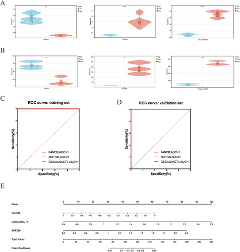 Figure 5 The diagnostic power of FANCB, ZNF296 and CSGALNACT1 in DIC by ROC curve. (A) The expression of FANCB, ZNF296 and CSGALNACT1 in the training set. (B) The expression of FANCB, ZNF296 and CSGALNACT1 in the validation set. (C) The ROC curve of FANCB, ZNF296 and CSGALNACT1 in the training set. (D) The ROC curve of FANCB, ZNF296 and CSGALNACT1 in the validation set. (E) A nomogram was used to predict the occurrence of DIC. (*P<0.05, **P < 0.01, ***P < 0.001, ****P < 0.0001, - P ≥ 0.05).