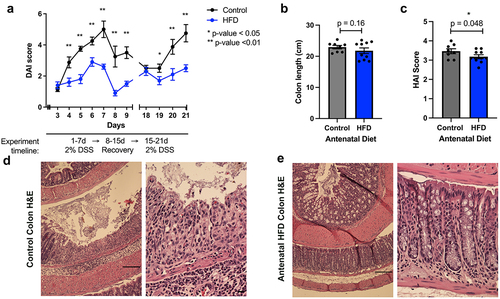 Figure 1. Antenatal high fiber diet reduces injury from DSS colitis in adult murine offspring.