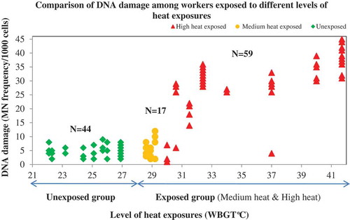 Figure 2. Relationship between WBGT (°C) & DNA Damage in high heat, medium heat unexposed groups (n = 120).