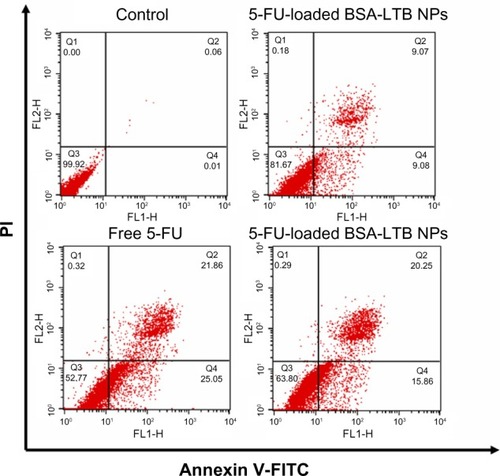 Figure 7 Cell apoptosis determined by Annexin V-FITC staining.Notes: Flow cytometer analysis of the apoptotic and necrotic cells (Q1: necrotic; Q2: late apoptotic; Q3: live; Q4: early apoptotic) after 48 hours of incubation with the free 5-FU, 5-FU-loaded BSA NPs, and 5-FU-loaded BSA-LTB NPs, respectively. Results are expressed as means ± standard deviation (n=3).Abbreviations: 5-FU, 5-fluorouracil; BSA, bovine serum albumin; FITC, fluorescein isothiocyanate; LTB, heat-labile enterotoxin subunit B; NPs, nanoparticles; PI, propidium iodide.