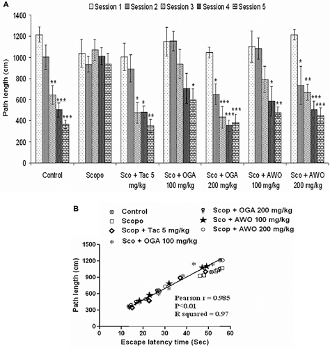 Figure 3.  (A) Effect of the methanolic root extract of C. mucronatum and C. thonningii on scopolamine-induced amnesia in the Morris water maze test (Comparison of path length). Data values are expressed as mean path length (cm) ± SEM. *Significant decrease (*p < 0.05, **p < 0.01 and ***p < 0.001) versus session 1. (B) Correlation between mean latency time and path length.