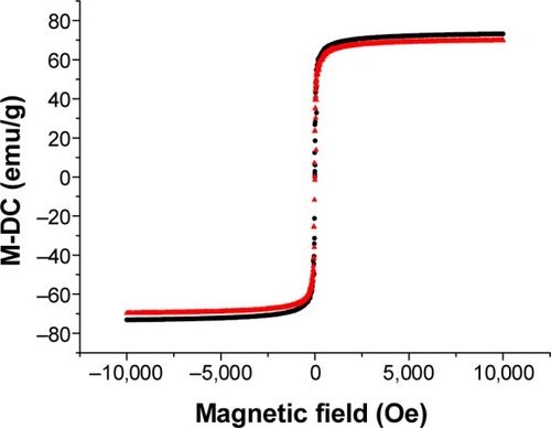 Figure 5 Normalized magnetization (using a DC field coil, M-DC) versus applied field curves of electrostatically stabilized (▲) and sterically stabilized (•) large-core SPIONs.Abbreviation: SPIONs, superparamagnetic iron oxide nanoparticles.