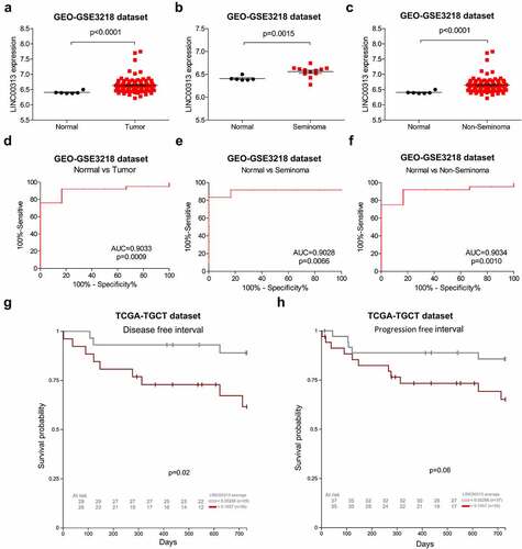 Figure 2. Expression of LINC00313 correlates with the clinicopathological features of patients with TGCT.(A) GEO database analysis shows that LINC00313 was notably upregulated in TGCT. (B & C) GEO database showing that LINC00313 was notably upregulated across different subtypes of TGCT. (D, E & F) The expression of LINC00313 has high sensitivity and specificity for distinguishing normal samples from TGCT samples, seminoma samples, non-seminoma samples. (G & H) The correlation between LINC00313 and the DFI and PFI of patients with TGCT. GEO: Gene Expression Omnibus; AUC: Area Under The Curve.