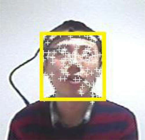 Figure 2. Bounding box surrounding the face region, with features identified for region-of-interest tracking.