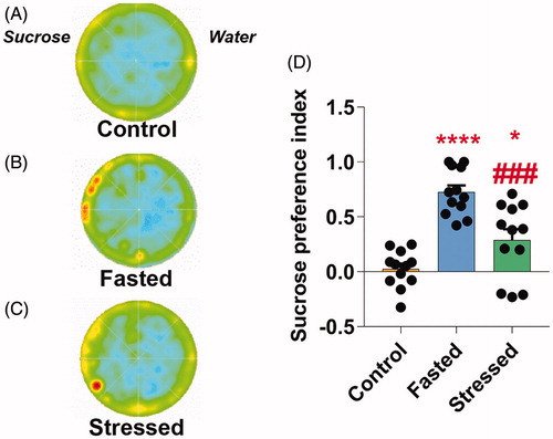 Figure 4. SVS protocol induces anhedonic behavior in flies. Representative occupancy plots in the sucrose preference test of naïve control (A), fasted (B) and SVSstressed (C) flies in the water (right half) or sucrose (left half) spots in an arena. (D) Sucrose preference index of fasted and stressed flies was significantly higher than fed flies. SVS-stressed flies exhibited a reduced sucrose preference compared with fasting group. One-way ANOVA followed by N-K post-hoc. N = 12 in all groups. Bars, means + SEM, *p < 0.05, ****p < 0.0001 as compared to control group and ###p < 0.001as compared to fasted group.